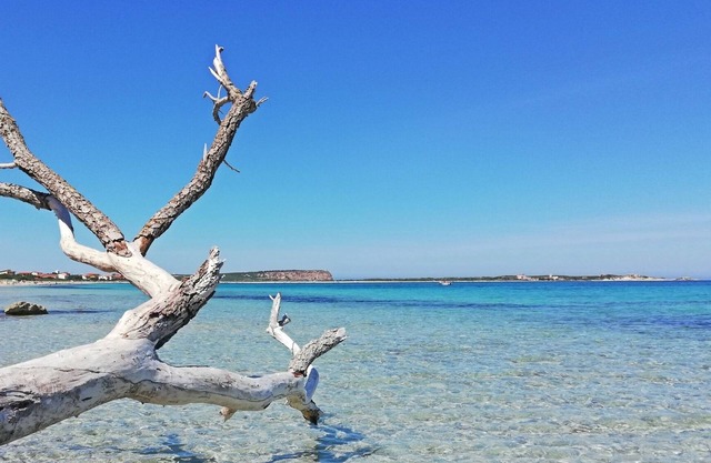 Marina Di San Vero Milis: Ferienhaus / Villa - Marina di San Vero Milis