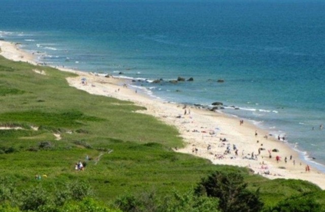 Martha's Vineyard Cosy Getaway in der Nähe des malerischen Philbin Beach
