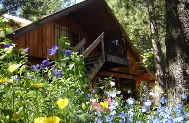 Martins Ferienhaus Blockhaus