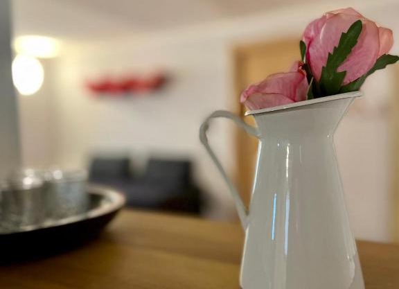 Marty’s HouseAppartamento nel cuore della Valle Stura
