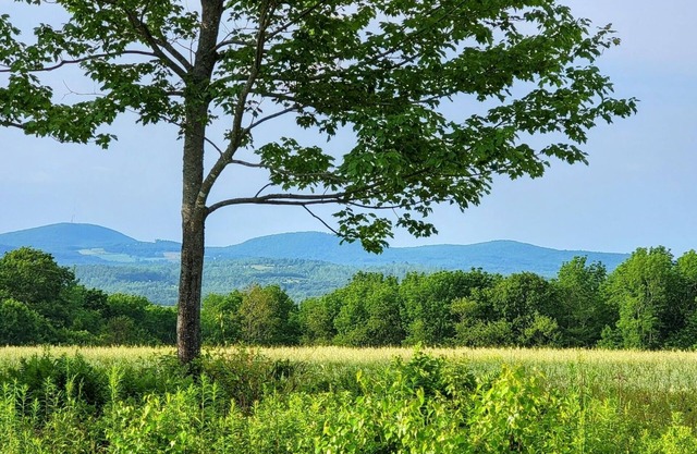 Peaceful country setting off the beaten path