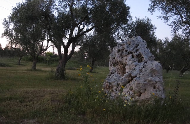 Masseria Mauriani 1623 - Gesamtstruktur