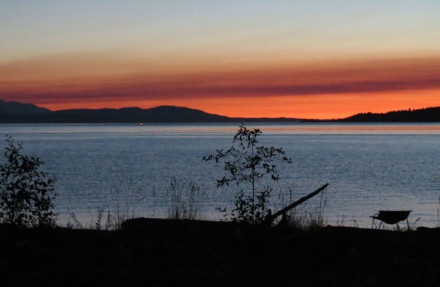 Maxwelton Beach Sunsets! Kayaks & paddleboards! 1 min walk to the water!