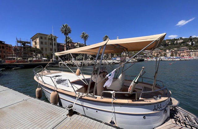 Mazzini 12