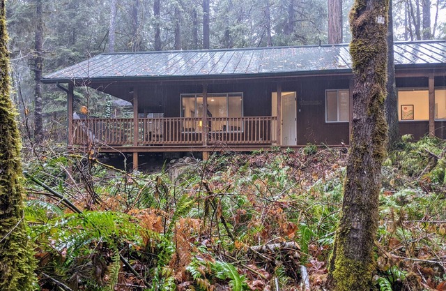 McKenzie River Cozy Cabin