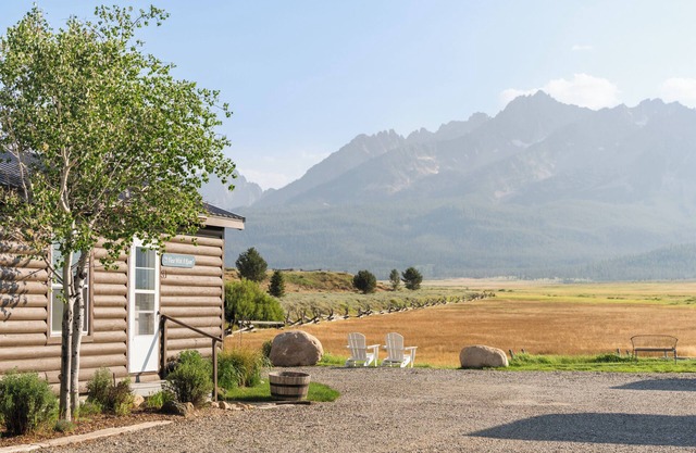 Meadow Creek Suite #11