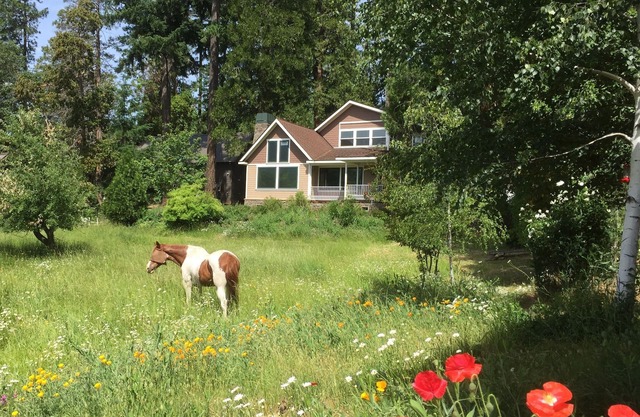 Meadow House in der Nähe von Crater Lake Südeingang, obere Rogue River, 100-Morgen-Trails