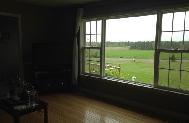 Meadowview Cottages