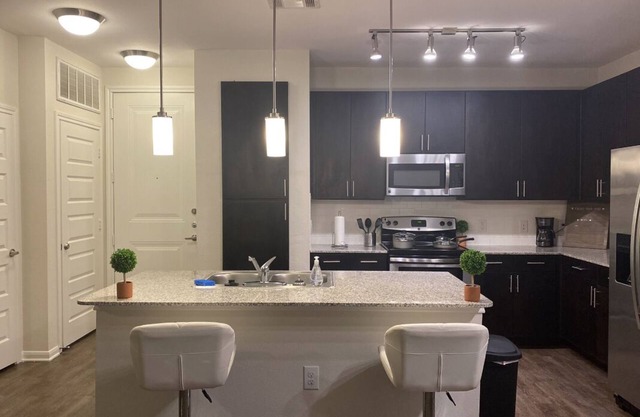 Med Center Luxury 2br Apt