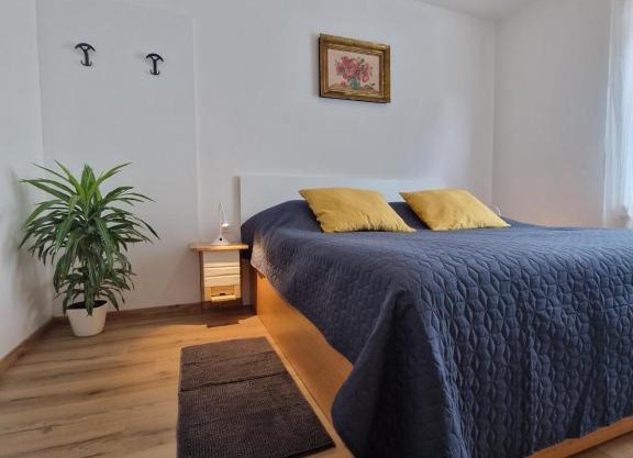 Medeni Apartma