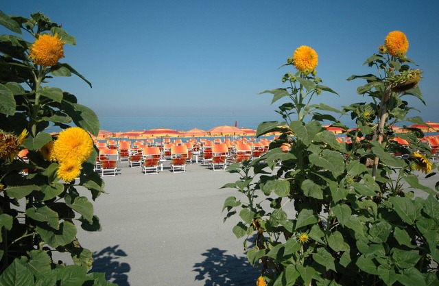Mediterraneo Palace Hotel