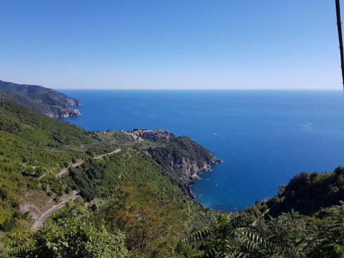 Menta Cinque Terre