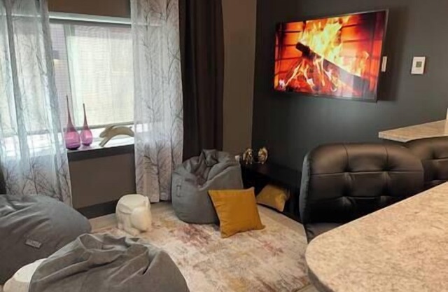 Metropolitan Loft 203