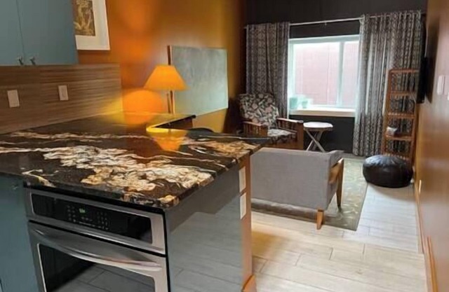 Metropolitan Loft 204