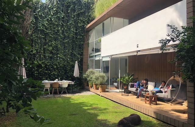 Mexico City Oasis, in the heart of Coyoacan