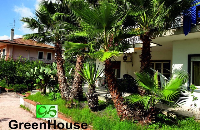 Green House Ferienhaus