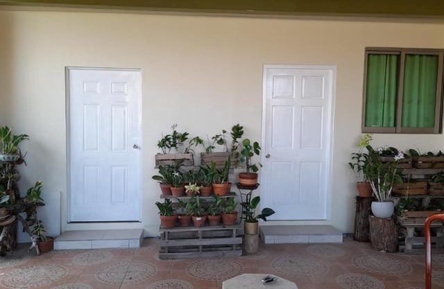 Michael's place