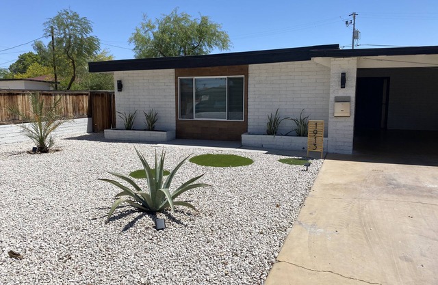 Mid-Century Glam Studio