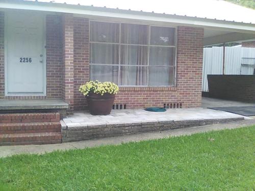 Mid-Century Modern meets Cajun Creole
