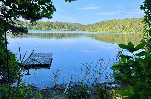 Modernes Mid-Century Truro am Großen Teich