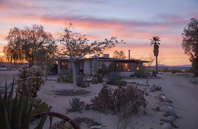 Mid-Century Desert Escape