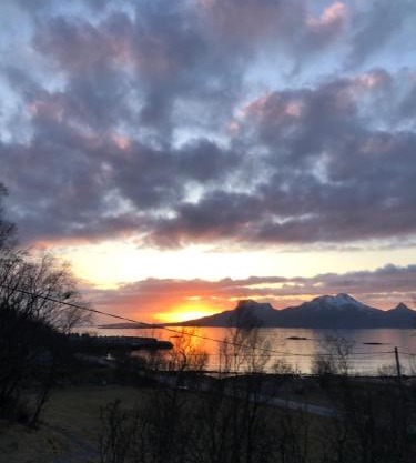 Midnight Sun Road
