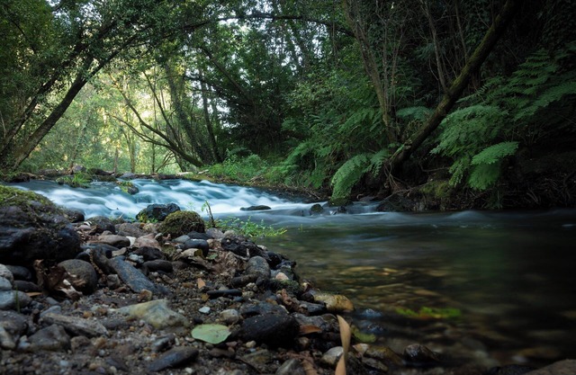 Mill in the middle of nature 5 minutes from the center of Ponte de Lima