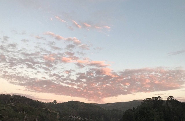 Mill Valley: 15 Minuten bis SF, 10 Minuten bis Muir Woods