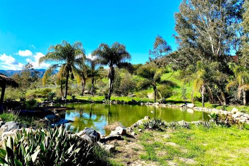 Milly Ranch