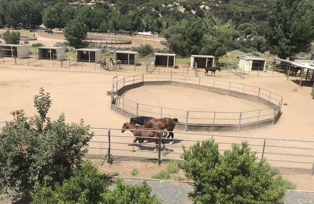 Mini Dude Ranch. Working Horse ranch, studio, Pet friendly, Mountain Views
