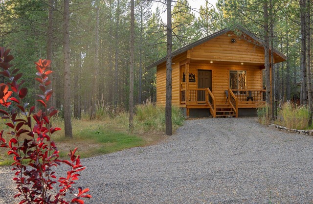 Little Bear Cozy Cabin