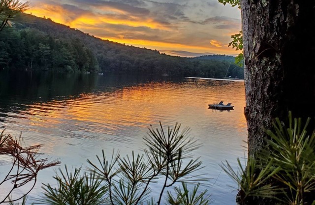 Minutes from Belfast, Maine. Cozy waterfront Cabin! Come explore and relax!