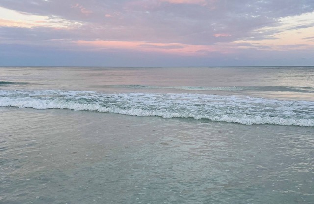 Minutes from Siesta Key Beach, Nathan Benderson Park Pool, WiFi, & Resort Amen
