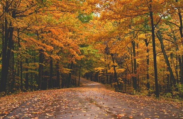 Minutes from the airport and Mall of America