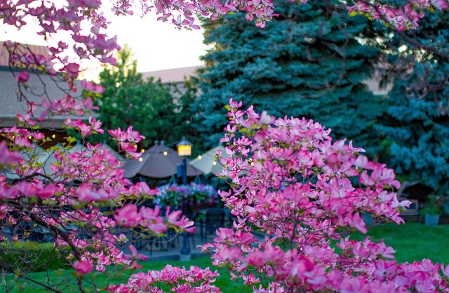 Mirabeau Park Hotel & Convention Center