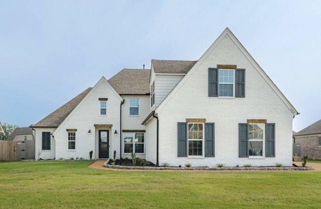 Mississippi oasis- 20-25 min from downtown Memphis, TN