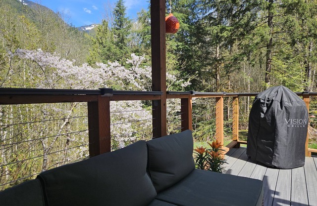 Misty Mountain Cabin-2 bed, 1 bath, mountain views and large deck