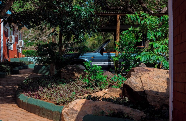 Mkomazi Hotels and Campsite