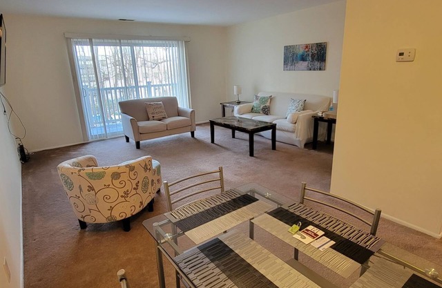 Modern 1BR in Elkins Park