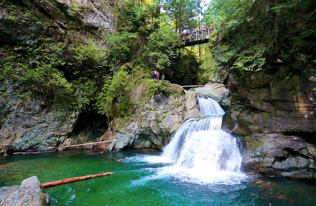 Modern 2 Bedroom + Sofa Bed Suite Near Capilano Bridge & Trails