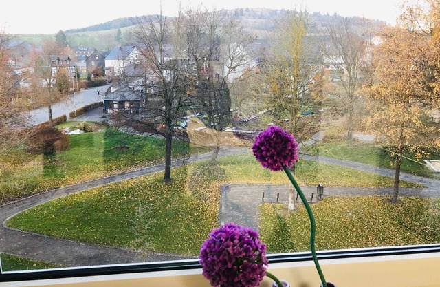 Fewo am Park, Deutschland