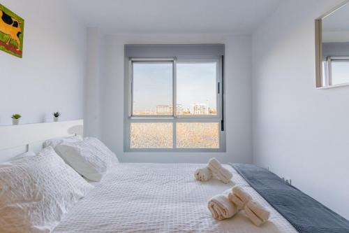 Modern Apartment: Moncofa Beachside Oasis