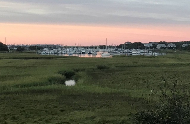 Secluded Luxury in Nature on Cape Cod Bay