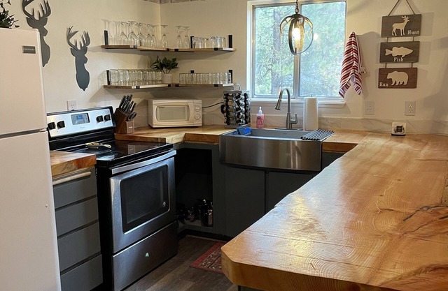Modern Bear Cabin