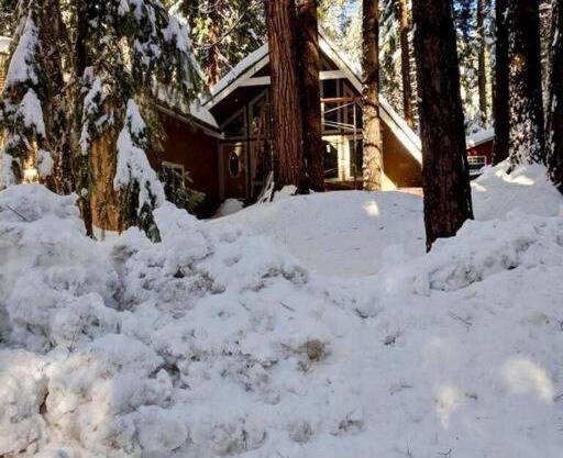 Modern Cabin Get Away - close to APPLE HILL
