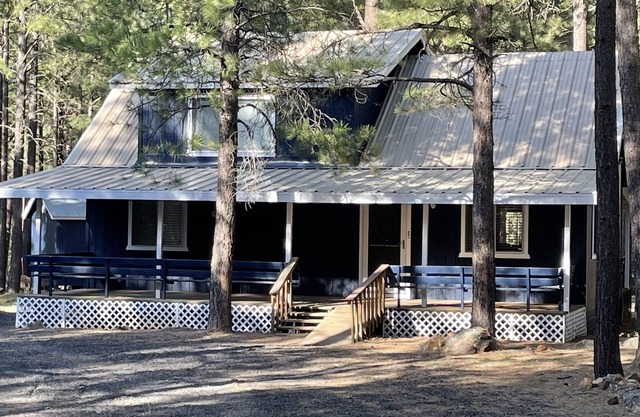 Moderne gemütliche Forrest Lakes Hütte