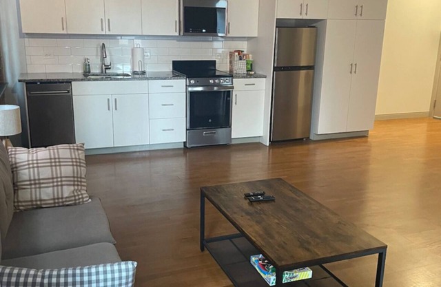 Modern Downtown 1 Bedroom Apartment