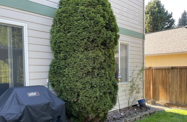 Modern Home in Puyallup WA