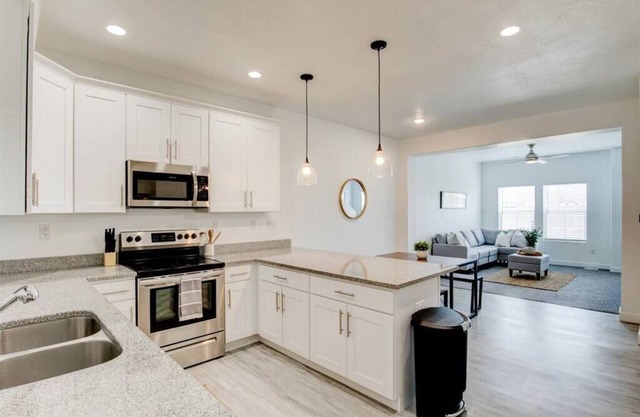 Modern Kitchen and Living Room, King Bed