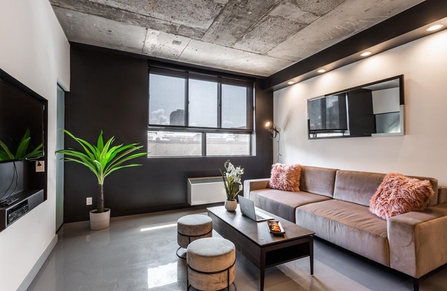 Modern Loft near McGill University